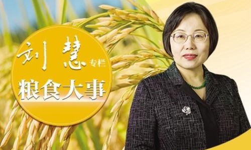 黄皮果的吃法与做法-黄皮果的吃法与做法、黄皮果的吃法有哪些 -黄皮果的吃法网