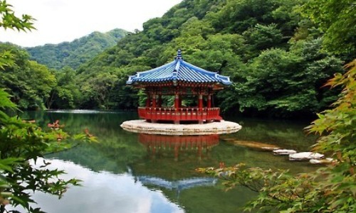 黄皮果的吃法与做法、黄皮果的吃法有哪些 -黄皮果的吃法网